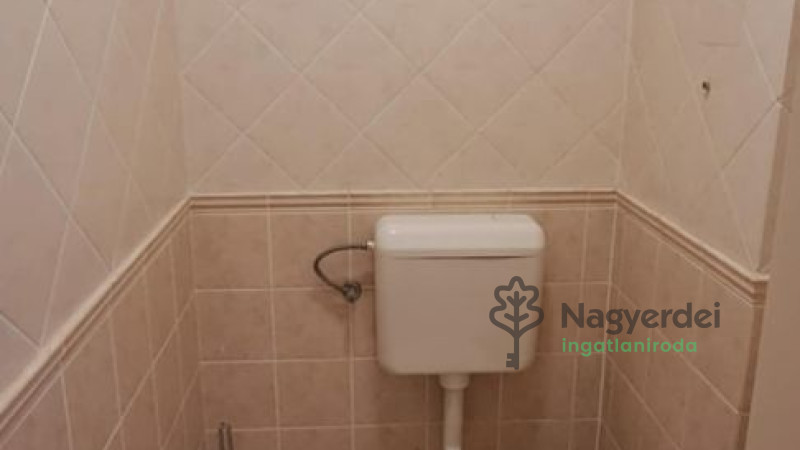 Debrecen, Nagyerdő, Lakás, tégla lakás  