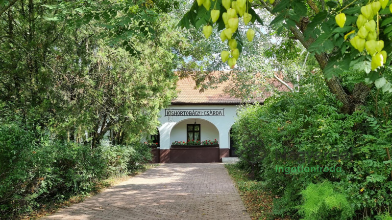 Balmazújváros, ház  