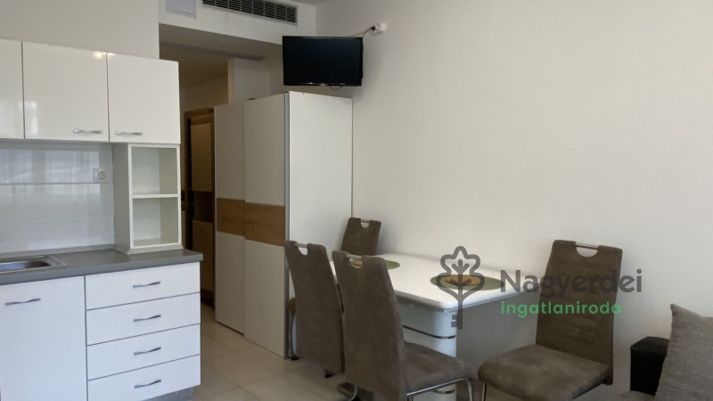 Debrecen, Belváros, Lakás, tégla lakás  