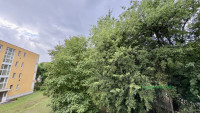 Debrecen, Nagyerdő, Lakás, tégla lakás  
