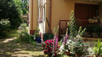 Debrecen, Sestakert, Lakás, tégla lakás  