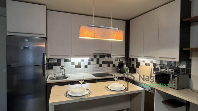 Debrecen, Nagyerdő, Lakás, tégla lakás  