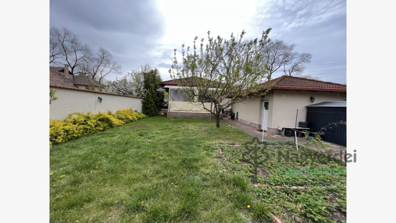 Debrecen, Falóger, Ház, családi ház  