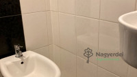 Debrecen, Nagyerdő, Lakás, tégla lakás  