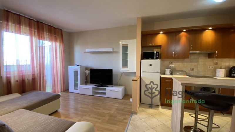 Debrecen, Széchenyikert, Lakás, tégla lakás  