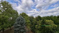 Debrecen, Sestakert, Lakás, tégla lakás  