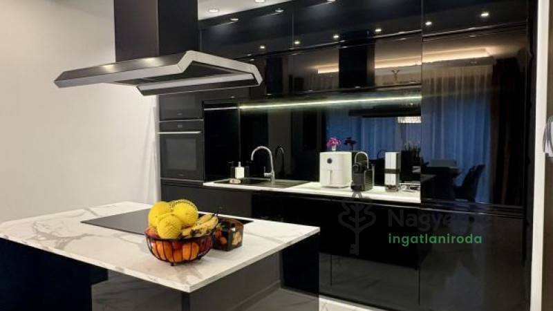 Debrecen, Liget lakópark, Ház, ikerház  