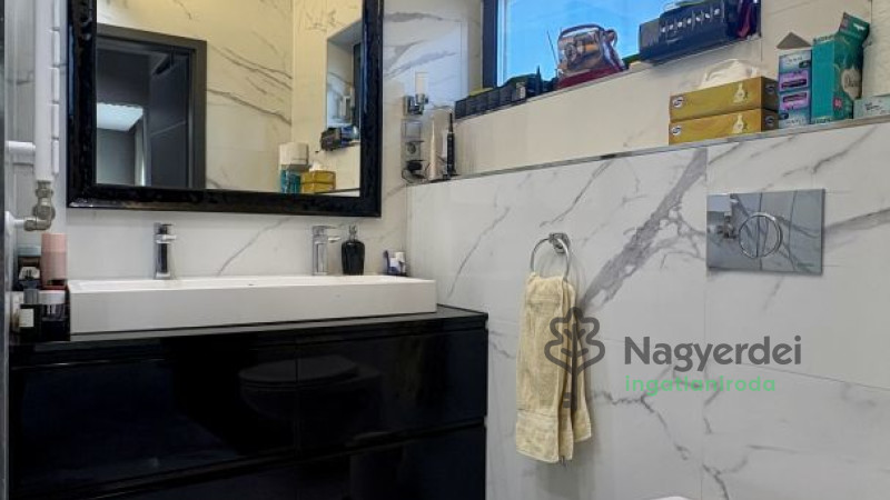 Debrecen, Liget lakópark, Ház, ikerház  