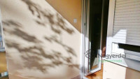 Debrecen, Nagyerdő, Lakás, tégla lakás  