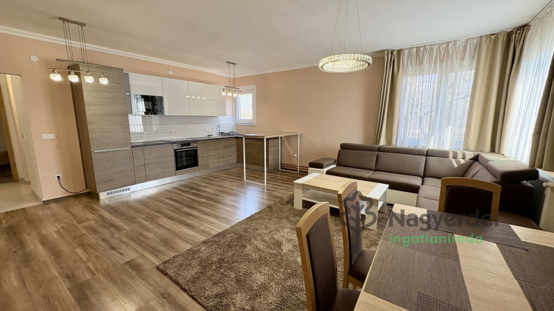 Debrecen, Nagyerdő, Lakás, tégla lakás  