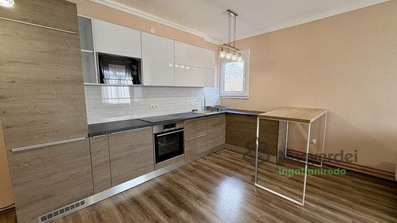 Debrecen, Nagyerdő, Lakás, tégla lakás  