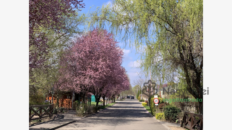 Debrecen, Liget lakópark, Ház, családi ház  