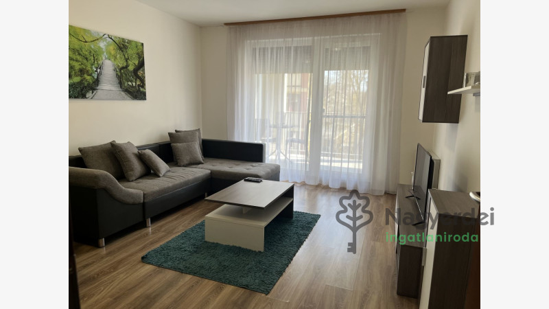 Debrecen, Egyetemváros, Lakás, tégla lakás  