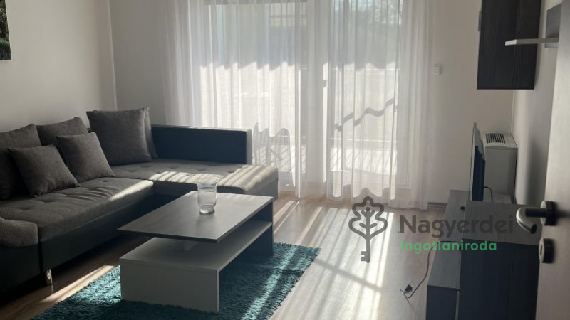 Debrecen, Egyetemváros, Lakás, tégla lakás  