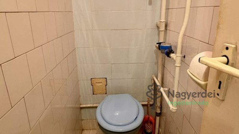 Debrecen, Nagyerdő, Lakás, tégla lakás  