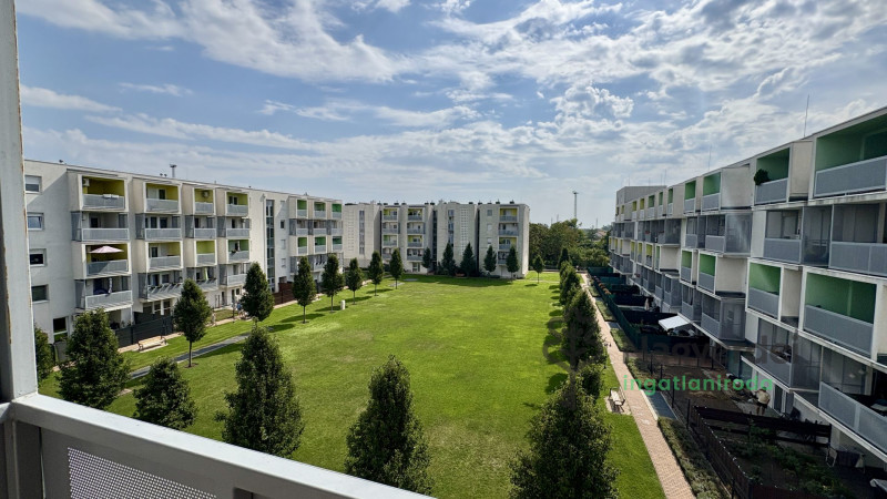 Debrecen, Ispotály, Lakás, szoba  