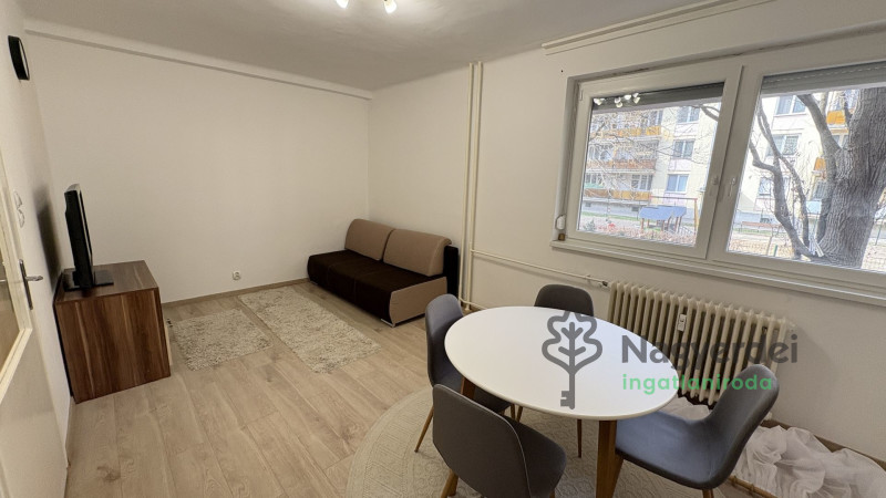 Debrecen, Belváros, Lakás, tégla lakás  