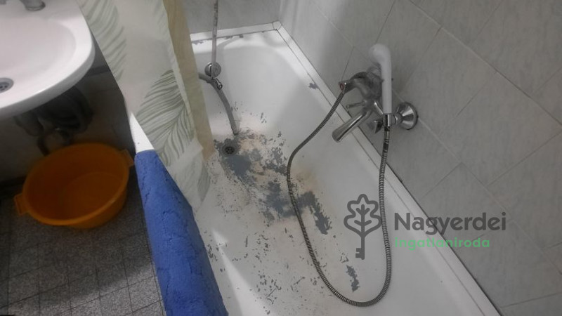 Debrecen, Nagyerdő, Lakás, tégla lakás  