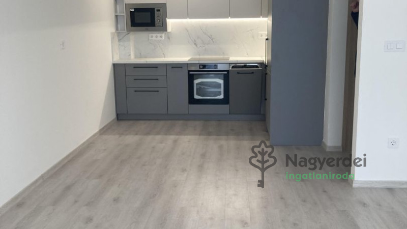 Debrecen, Miklóskapu, Lakás, tégla lakás  