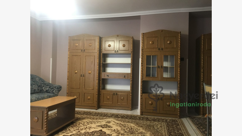 Debrecen, Nagyerdő, Lakás, tégla lakás  