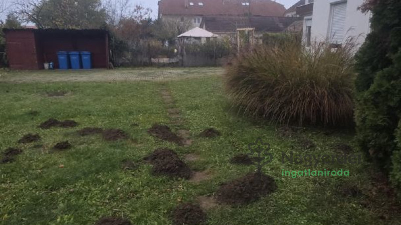 Debrecen, Hatvan utcai kert, Lakás, tégla lakás  