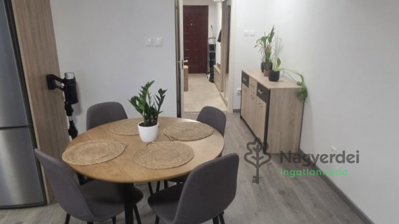 Debrecen, Hatvan utcai kert, Lakás, tégla lakás  