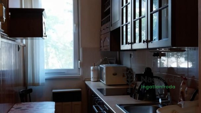 Debrecen, Nagyerdő, Lakás, tégla lakás  