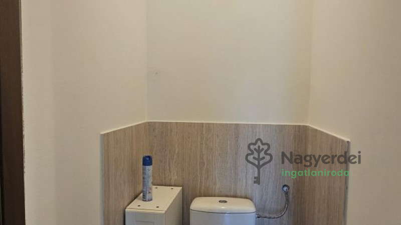 Debrecen, Haláp, Ház, családi ház  