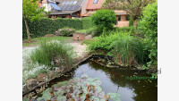 Debrecen, Liget lakópark, Ház, sorház  