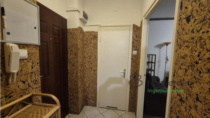 Debrecen, Nagyerdő, Lakás, tégla lakás  