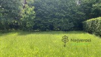 Debrecen, Liget lakópark, Ház, sorház  