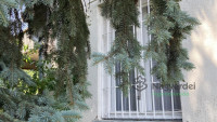 Debrecen, Biczó István kert, Ház, családi ház  