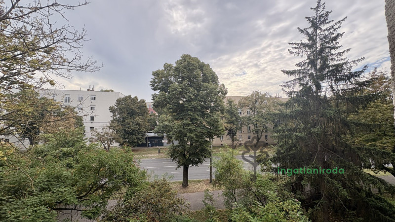 Debrecen, Nagyerdőalja, Lakás, tégla lakás  