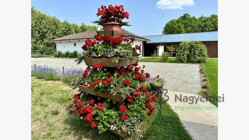 Nyíradony, Aradványpuszta, Ház, családi ház  