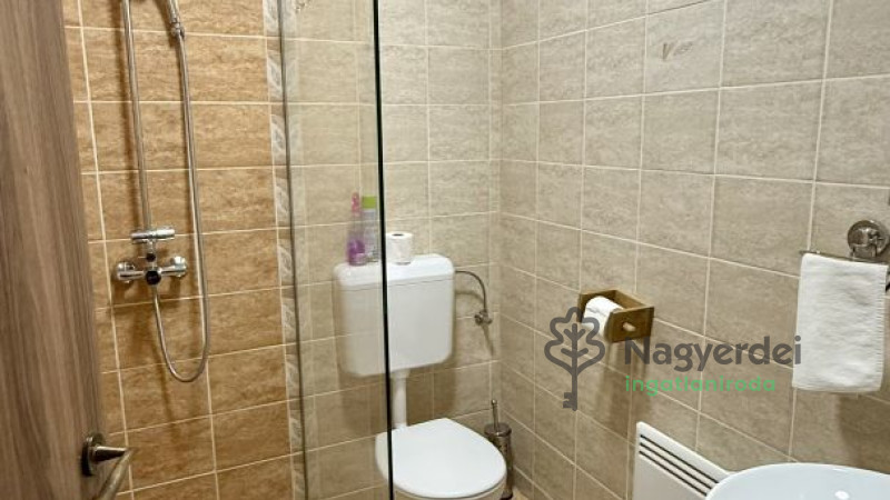 Nyíradony, Aradványpuszta, Ház, családi ház  