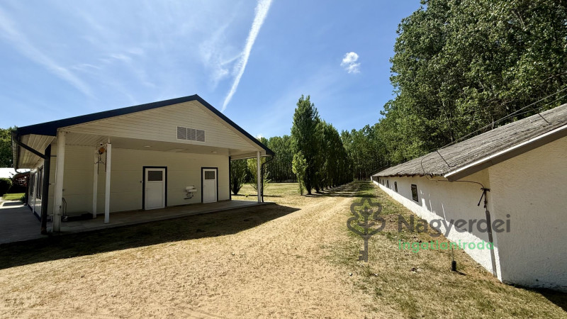Nyíradony, Aradványpuszta, Ház, családi ház  