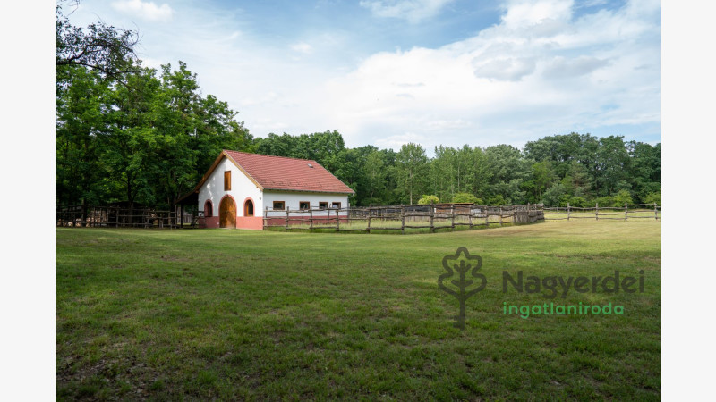 Debrecen, Haláp, Ház, családi ház  
