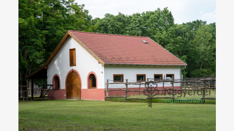 Debrecen, Haláp, Ház, családi ház  