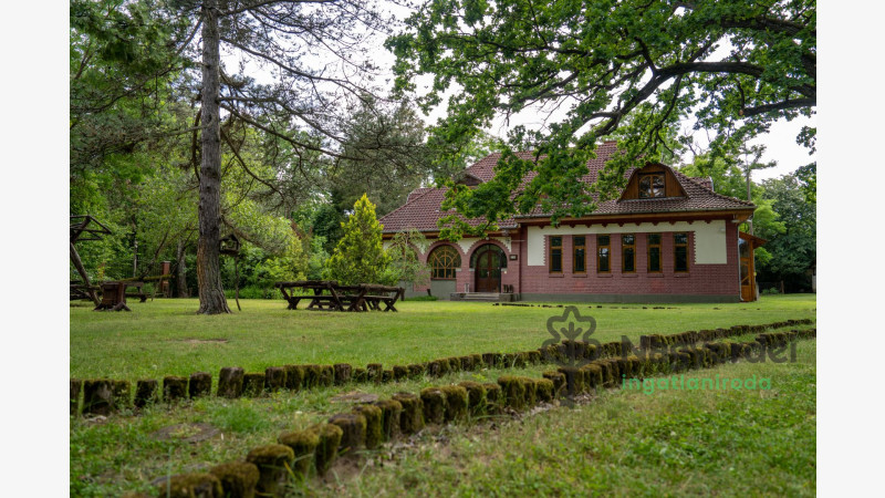 Debrecen, Haláp, Ház, családi ház  