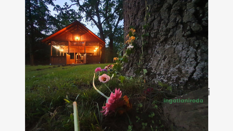 Debrecen, Haláp, Ház, családi ház  