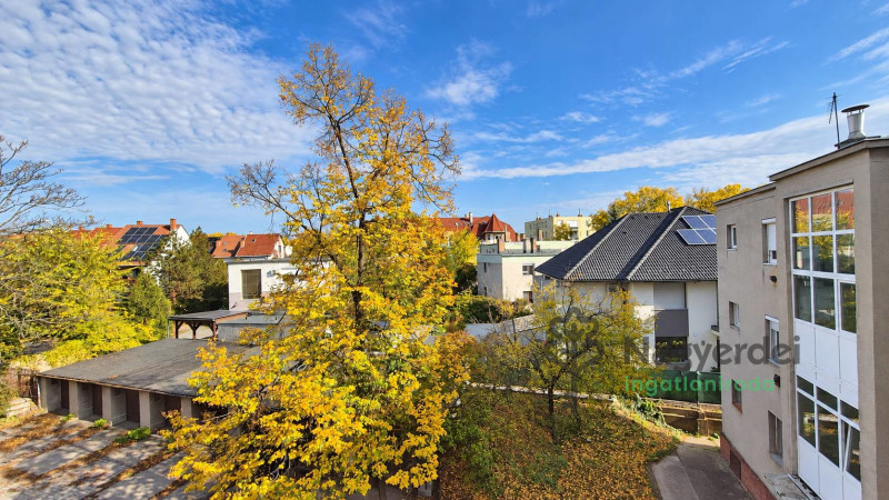 Debrecen, Egyetemváros, Lakás, tégla lakás  