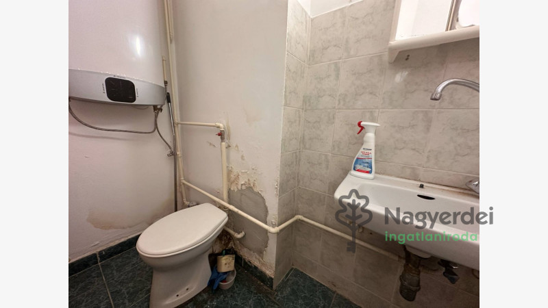 Debrecen, Nagyerdő, Lakás, tégla lakás  