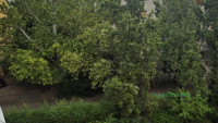 Debrecen, Nagyerdőalja, Lakás, tégla lakás  