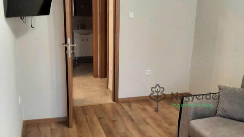 Debrecen, Egyetemváros, Lakás, tégla lakás  