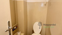 Debrecen, Nagyerdő, Lakás, tégla lakás  