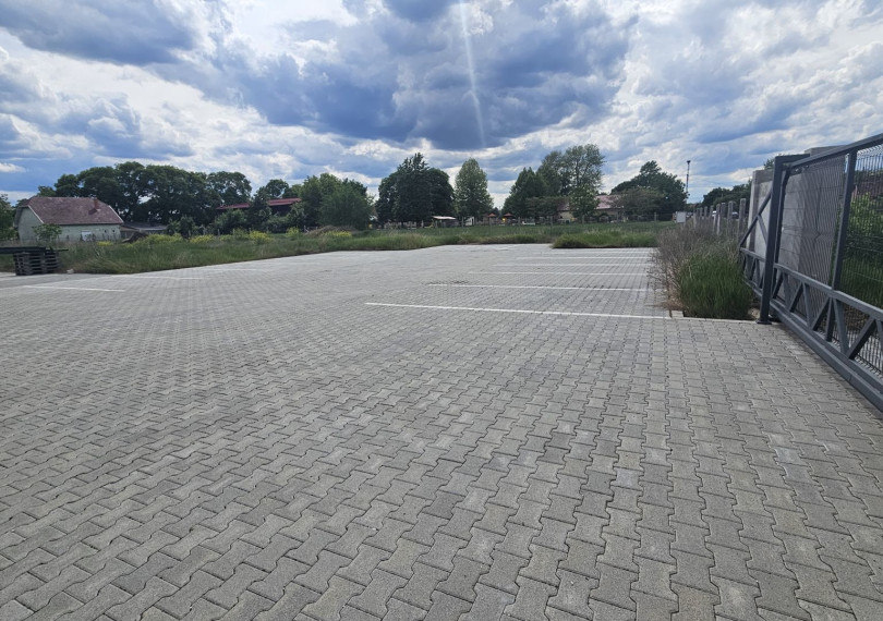 Ház