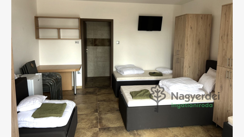 Hajdúnánás, Kereskedelmi ingatlan, panzió  