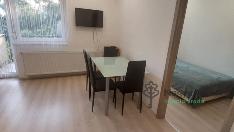 Debrecen, Egyetemváros, Lakás, szoba  