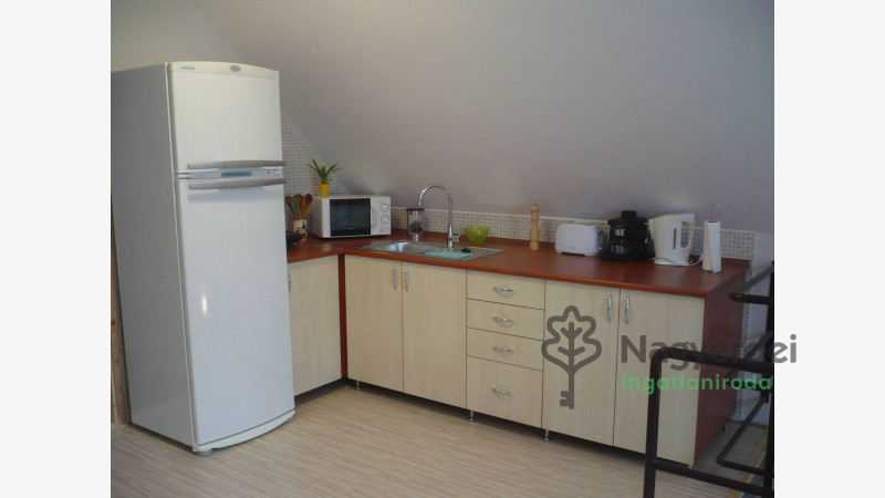 Hajdúszoboszló, Kereskedelmi ingatlan, panzió  