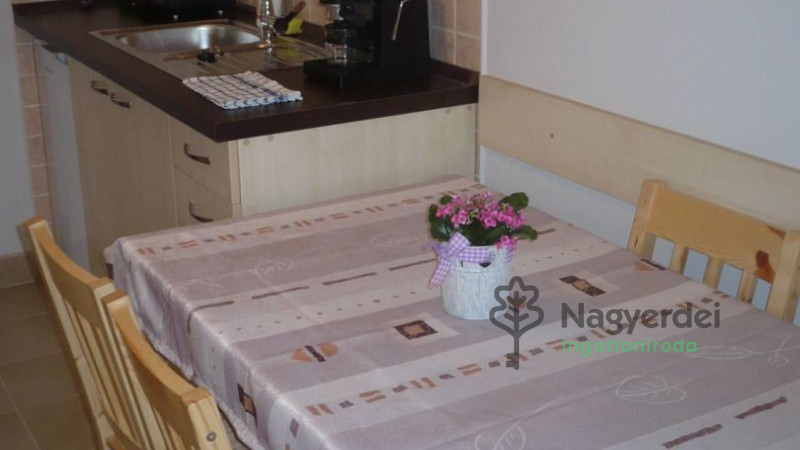 Hajdúszoboszló, Kereskedelmi ingatlan, panzió  